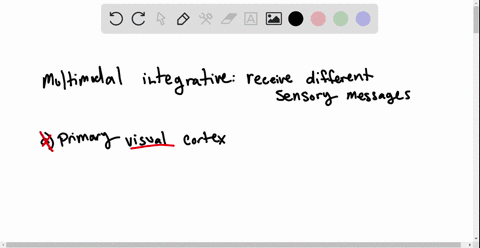 which-of-the-following-could-be-a-multimodal-integrative-area-a-primary-visual-cortex-b-premotor-cor