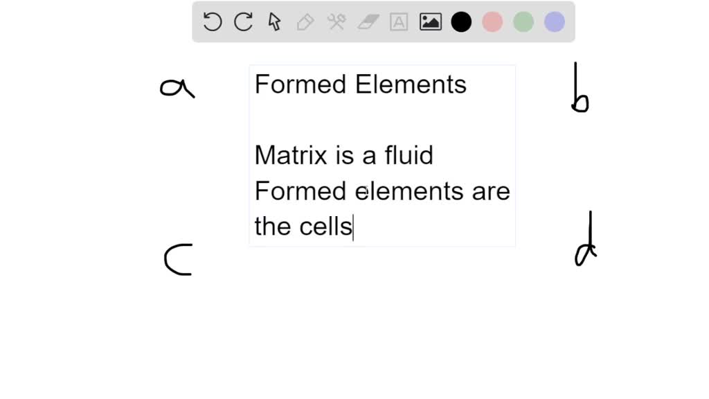 solved-the-are-the-smallest-formed-elements-in-the-blood-and-they-play