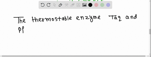 the-thermostable-enzyme-taq-and-pfu-isolated-from-thermophilic-bacteria-are-a-rna-polymerase-b-dna-p