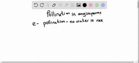 pollination-in-angiosperms-a-always-requires-wind-b-never-occurs-within-a-single-flower-c-always-r-2