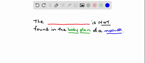 which-of-the-following-is-not-part-of-the-molluscan-body-plan-a-mantle-b-foot-c-radula-d-visceral-ma