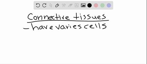 connective-tissues-include-a-diverse-group-of-cells-yet-they-all-share-a-cuboidal-shape-b-the-abilit