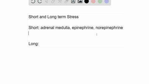 compare-and-contrast-the-short-term-and-long-term-stress-response