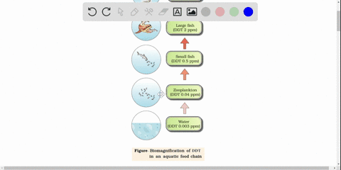 which-term-describes-the-process-whereby-toxic-substances-increase-along-trophic-levels-of-an-ecosys