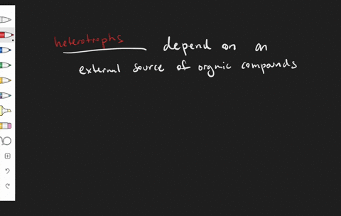 which-are-organisms-that-depend-on-an-external-source-of-organic-compounds-a-autotrophs-b-heterotrop