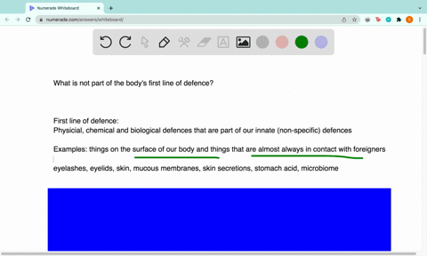 which-of-the-following-is-not-involved-in-the-first-line-of-defense-against-infection-a-stomach-acid