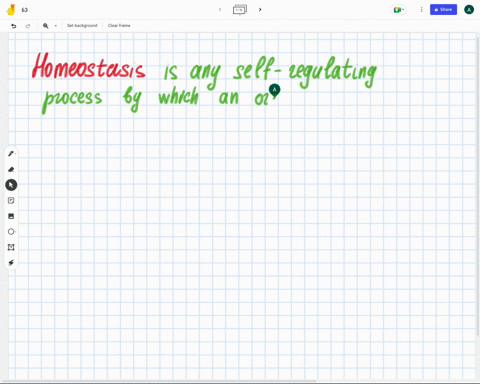 define-homeostasis-4