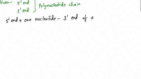 what-is-the-difference-between-the-3prime-end-and-the-5prime-end-of-a-polynucleotide