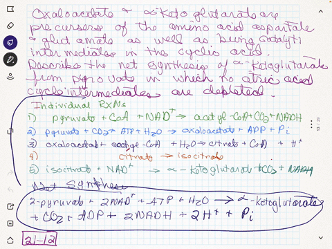 although-there-is-no-net-synthesis-of-intermediates-by-the-citric-acid-cycle-citric-acid-cycle-inter
