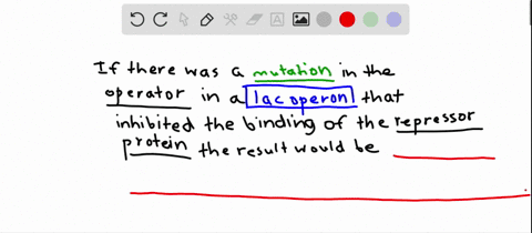 for-the-lac-operon-what-would-be-the-expected-effects-of-a-mutation-in-the-operator-site-that-preven