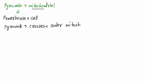 why-can-pyruvate-cross-the-mitochondrial-membrane-but-no-other-molecule-after-step-1-in-glycolysis-c