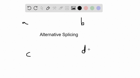 what-is-alternative-splicing-a-phosphorylation-that-leads-to-different-types-of-post-translational-r