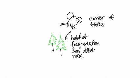 white-footed-mice-occupy-a-broad-ecological-niche-they-occur-in-most-communities-regardless-of-habit
