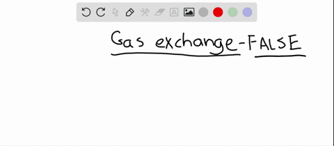 which-of-the-following-statements-is-not-true-a-respiratory-gases-are-exchanged-only-by-diffusion--2