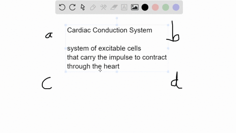 all-of-the-following-are-part-of-the-cardiac-conduction-system-except-the-a-chordae-tendineae-b-purk
