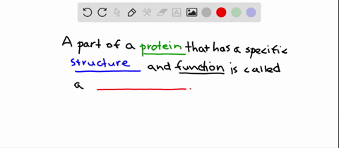 a-_______-is-a-portion-of-protein-with-a-particular-structure-and-function-a-peptide-bond-b-domain-c