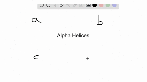 what-type-of-bond-is-directly-involved-in-the-formation-of-an-alpha-helix-a-peptide-bonds-between-am