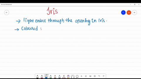 light-enters-the-eye-through-an-opening-in-the-a-lens-b-retina-c-iris-d-blind-spot-e-fovea