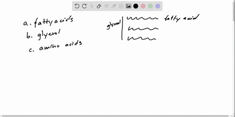 in-certain-organisms-and-under-certain-conditions-______-can-be-used-as-an-energy-alternative-to-glu