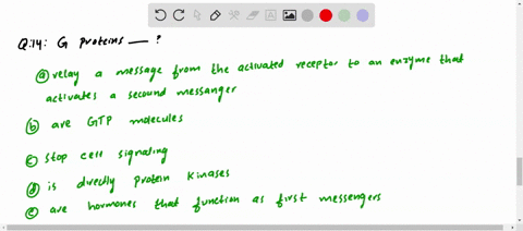 g-proteins-a-relay-a-message-from-the-activated-receptor-to-an-enzyme-that-activates-a-second-messen