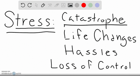 which-of-the-following-is-not-one-of-the-three-main-types-of-stressors-a-catastrophes-b-significant-