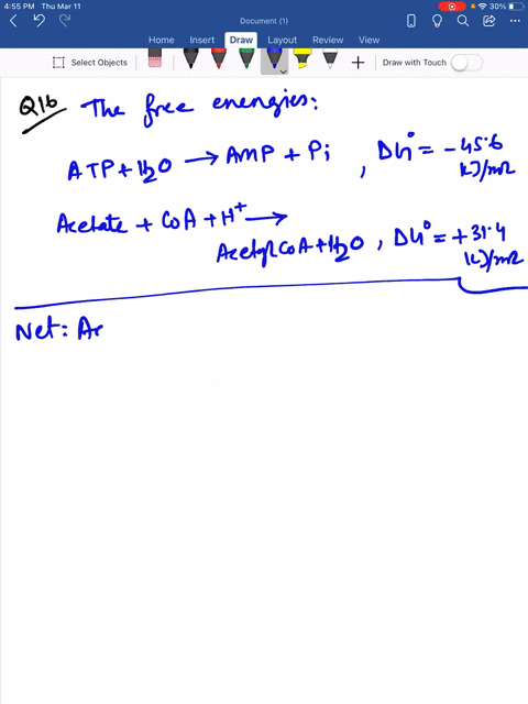 activated-acetate-the-formation-of-acetyl-coa-from-acetate-is-an-atp-driven-reaction-acetate-mathrma