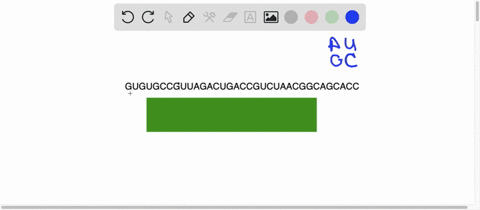 how-can-the-following-rna-fold-up-through-internal-base-pairing-gugugccguuagacugaccgucuaacggcagcacc