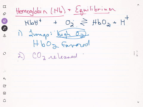 hemoglobin-hb-is-a-blood-protein-that-is-responsible-for-transporting-oxygen-it-can-exist-in-the-pro