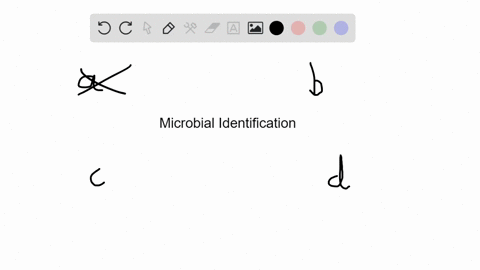 which-of-the-following-characteristicscompounds-is-not-considered-to-be-a-phenotypic-biochemical-c-3