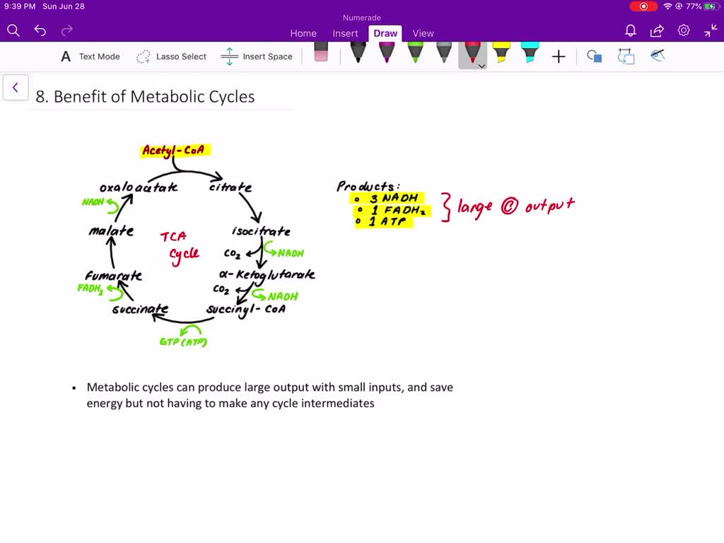 solved-metabolic-cycles-are-rather-common-calvin-cycle-citric-acid