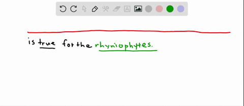 the-rhyniophytes-a-possessed-vessel-elements-b-possessed-true-roots-c-possessed-sporangia-at-the-tip