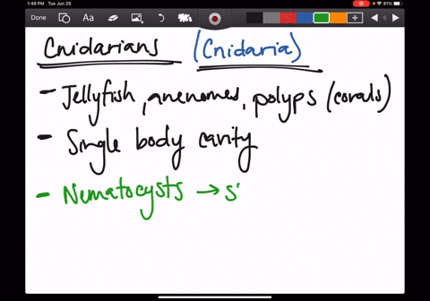 match-the-organisms-with-their-descriptions-a-complete-gut-pseudocoelom-b-protists-closest-to-animal