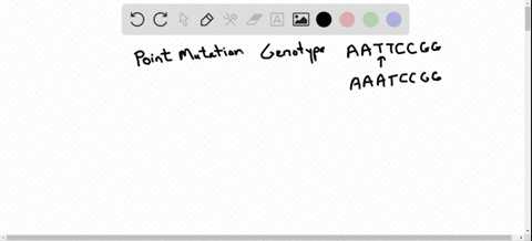 explain-why-all-point-mutations-change-the-genotype-but-why-only-some-point-mutations-change-the-phe