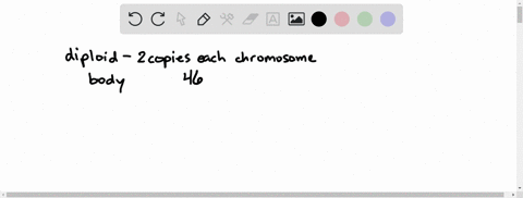 which-of-the-following-cells-is-haploid-a-primary-oocyte-b-secondary-oocyte-c-oogonium-d-cells-of--2