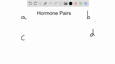 all-of-the-following-represent-hormone-pairs-with-antagonistic-activities-except-a-estrogen-progeste