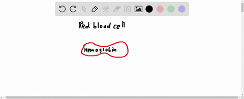 most-oxygen-in-blood-is-transported-______________-a-in-red-blood-cells-b-in-white-blood-cells-c-the