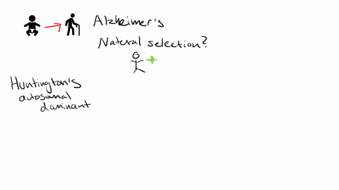 as-more-humans-live-longer-many-people-face-degenerative-conditions-such-as-alzheimers-disease-that-