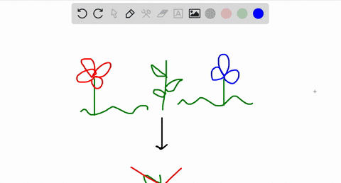 SOLVED:What distinguishes a keystone species from other species in an