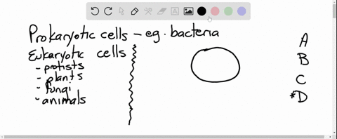 unlike-eukaryotic-cells-prokaryotic-cells-___________-a-lack-a-plasma-membrane-b-have-rna-not-dna-c-