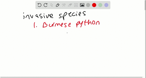 invasive-animal-species-are-disrupting-ecosystems-around-the-world-search-the-internet-for-a-list-of