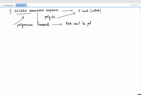 how-would-the-deletion-of-the-following-sequences-or-features-most-likely-affect-a-eukaryotic-pre--2