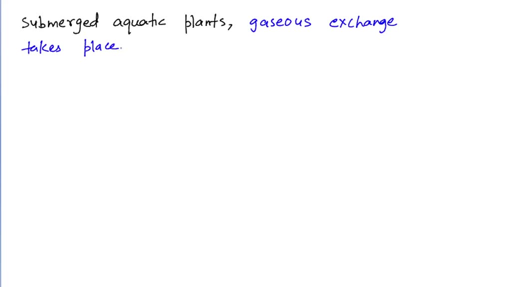 SOLVEDAssertion Cambium is a lateral meristem and cause growth in