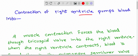 contraction-of-right-ventricle-pumps-blood-into-a-dorsal-aorta-b-pulmonary-vein-c-coronary-artery-d-