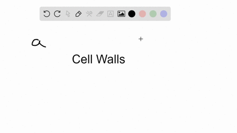 cell-walls-of-fungi-are-composed-of-_______-a-cellulose-b-keratin-c-lignin-d-chitin