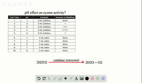 questions-90-93-students-do-an-experiment-to-explore-the-effects-of-mathrmph-on-enzyme-activity-they