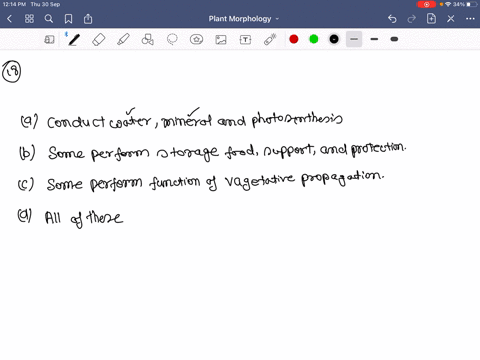 functions-of-stem-are-a-conduct-water-mineral-and-photosynthates-b-some-perform-storage-food-support