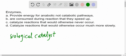 enzymes-a-provide-energy-for-anabolic-but-not-catabolic-pathways-b-are-consumed-during-the-reactions