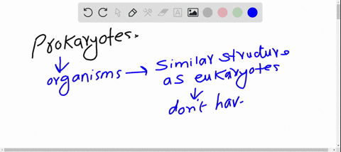 what-would-be-the-consequences-for-eukaryotes-if-all-prokaryotes-suddenly-became-extinct