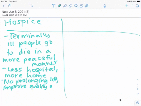research-to-find-information-on-hospices-and-nursing-homes-evaluate-the-services-these-institutions-