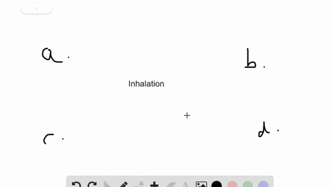 during-inhalation-the-____________-a-thoracic-cavity-expands-b-glottis-closes-c-diaphragm-relaxes-d-